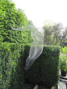 Michelle Castles Sculpture – Libertine