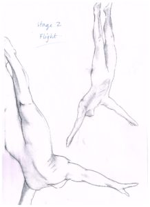 Michelle Castles Diving in Flight Sketch