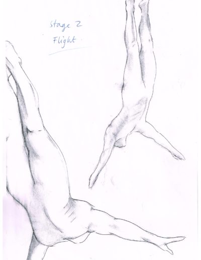 Michelle Castles Diving in Flight Sketch