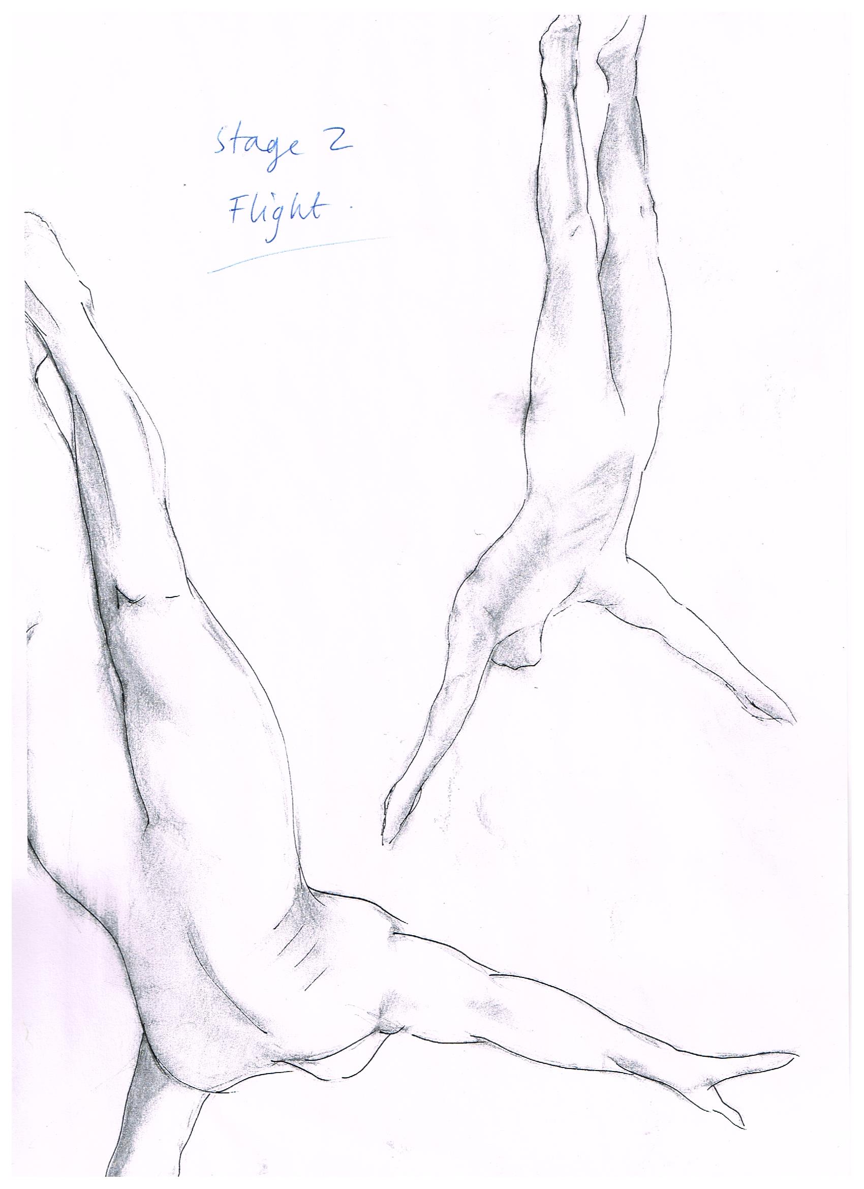 Michelle Castles Diving in Flight Sketch