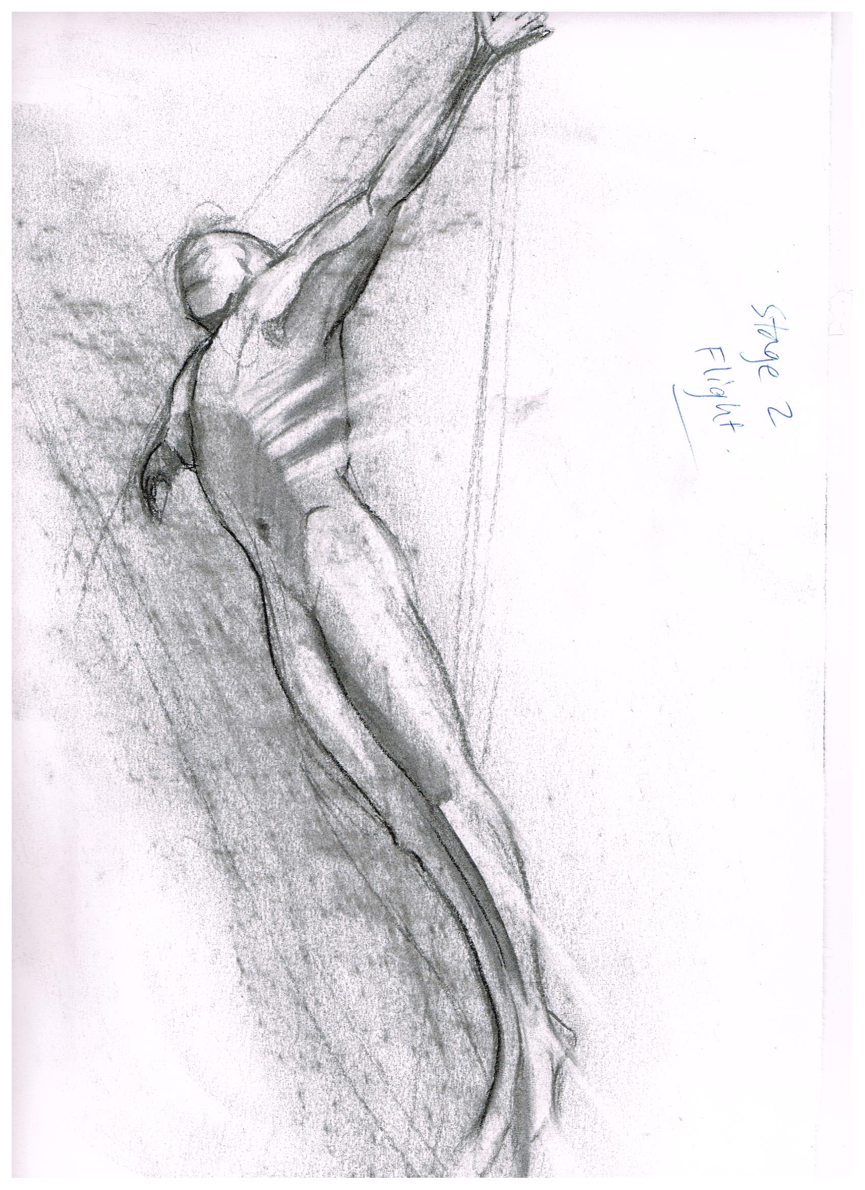 Michelle Castles Diving in Flight Sketch