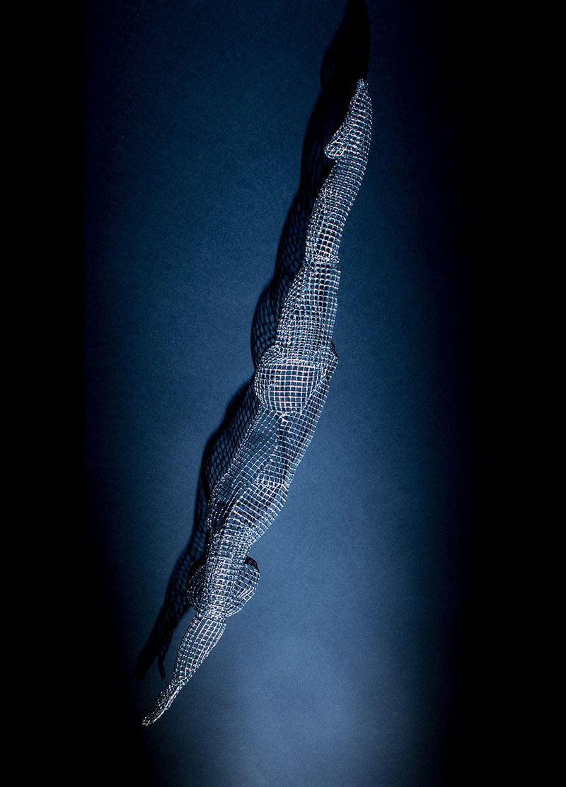 Diver 7